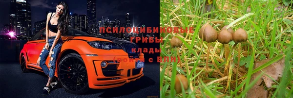 трава Краснослободск