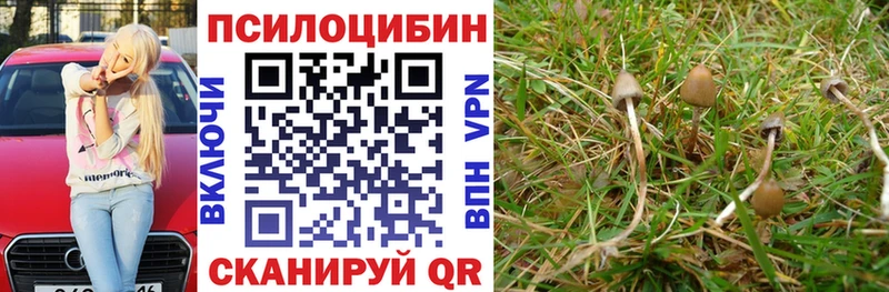 Псилоцибиновые грибы ЛСД  OMG как зайти  Пятигорск  где можно купить наркотик 